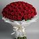 Букет 101 Красная роза Блэк Мэджик в Красные Баки