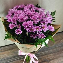 Букет цветов из:  Хризантемы #REPLACE_PRED# Красные Баки