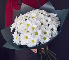 Букет цветов из:  Хризантемы #REPLACE_PRED# Красные Баки