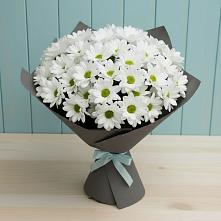 Букет цветов из:  Хризантемы #REPLACE_PRED# Красные Баки