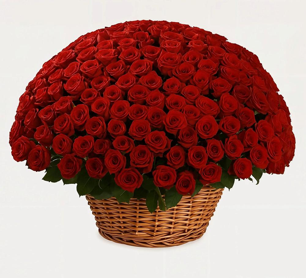 Премиум букет из: Розы в Красные Баки