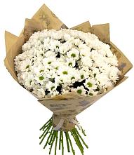 Букет цветов из:  Хризантемы #REPLACE_PRED# Красные Баки