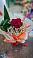 Букет цветов из: Розы в Красные Баки
