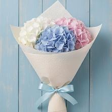 Букет цветов из:  Гортензия в Красные Баки