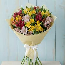 Букет цветов из:  Альстромерии #REPLACE_PRED# Красные Баки