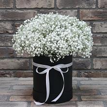 Цветочная композиция из Гипсофила в шляпной коробке в Красные Баки