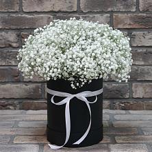 Цветочная композиция из Гипсофила в шляпной коробке в Красные Баки