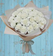 Букет цветов из:  Гвоздики в Красные Баки