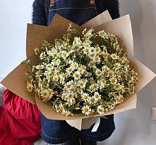 Букет цветов из:  Ромашки #REPLACE_PRED# Красные Баки