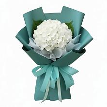 Букет цветов из:  Гортензия в Красные Баки